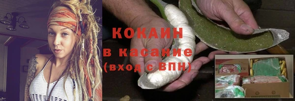 дживик Липки