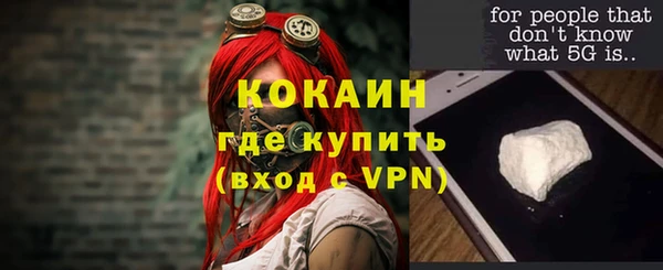 дживик Липки