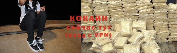 сатива Армянск
