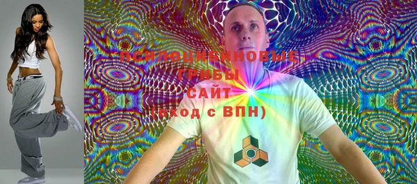 дживик Липки