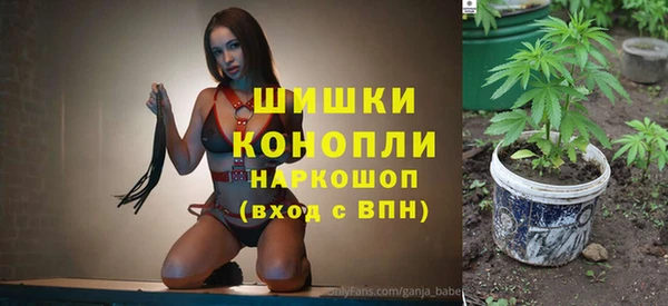 дживик Липки
