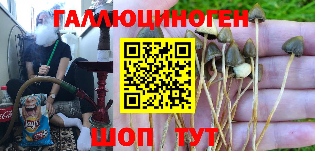 Бошки Шишки  Вход с VPN  А ПВП СК кристаллы  МЕФ   Надым  ГАШ  МЕТАМФЕТАМИН  Cocaine  ГАШИШ 